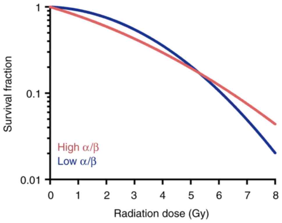 A cell survival curve illustrating a
high α/β ratio compared to another curve with a low
α/β ratio. The blue curve exhibits greater curvature, with a
characteristic shoulder, reflecting a larger contribution from the
β component and a low α/β ratio. By contrast, the red
curve appears more linear, consistent with a high α/β.