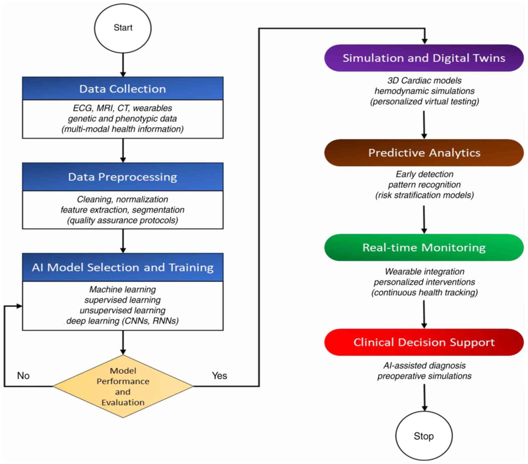 Flowchart of AI-driven cardiac
digital twin development, from data collection to real-time
monitoring and decision support. CNNs, convolutional neural
networks; RNNs, recurrent neural networks.